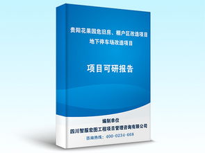 貴陽項目可行性研究代寫 智服宏圖